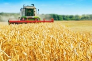 Food and Agriculture